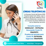 LINEAS TELEFONICAS HICY PORTADA
