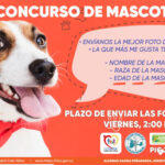 CONCURSO DE MASCOTAS - PORTADA