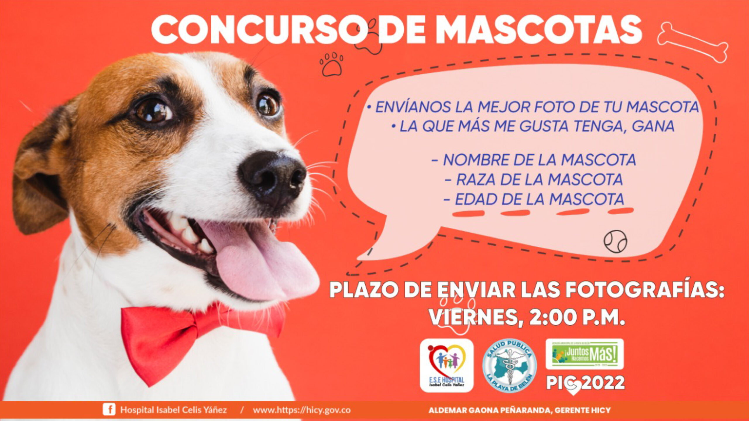 CONCURSO DE MASCOTAS - PORTADA