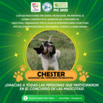 MASCOTA GANADORA - PORTADA
