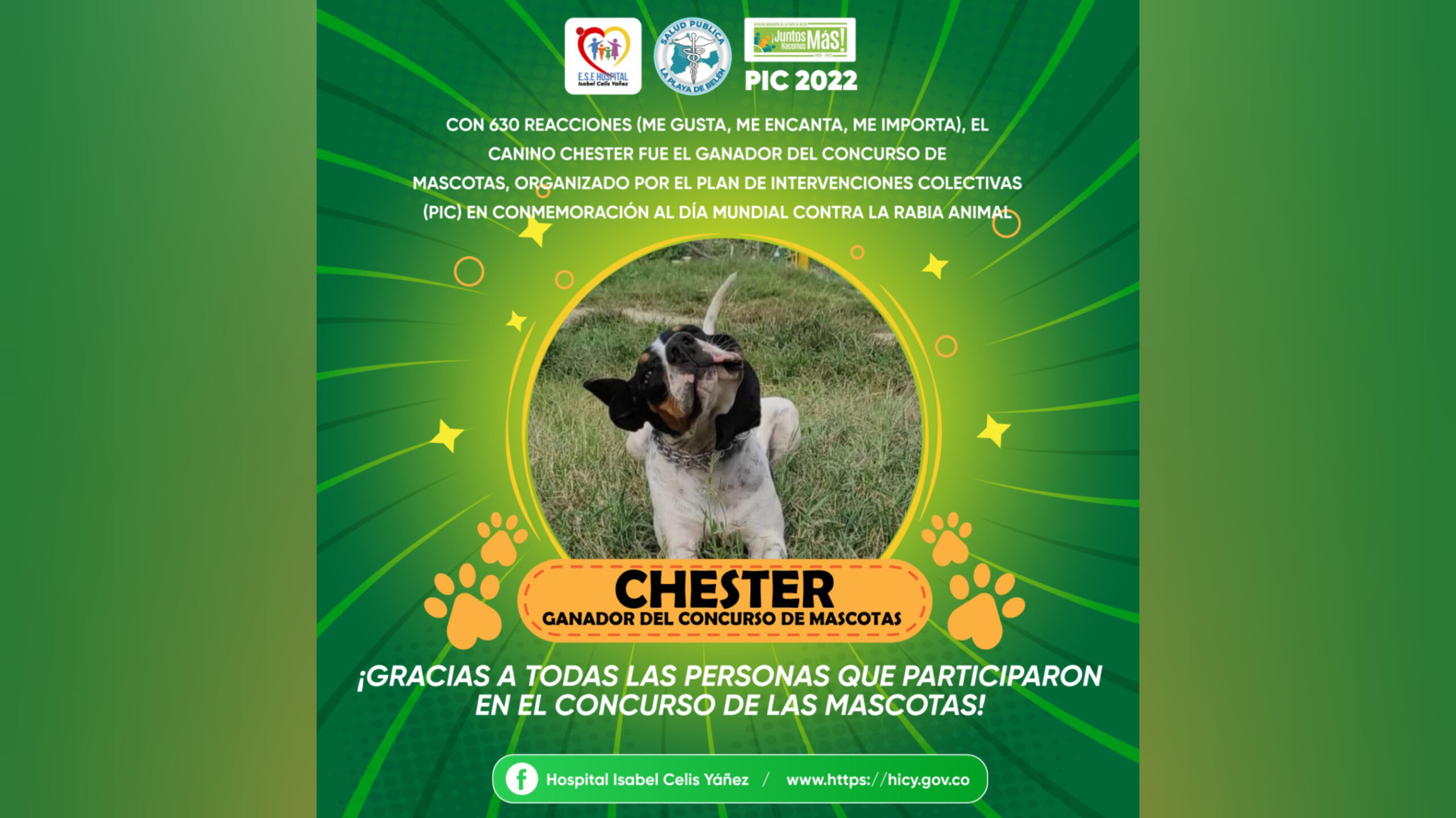 MASCOTA GANADORA - PORTADA
