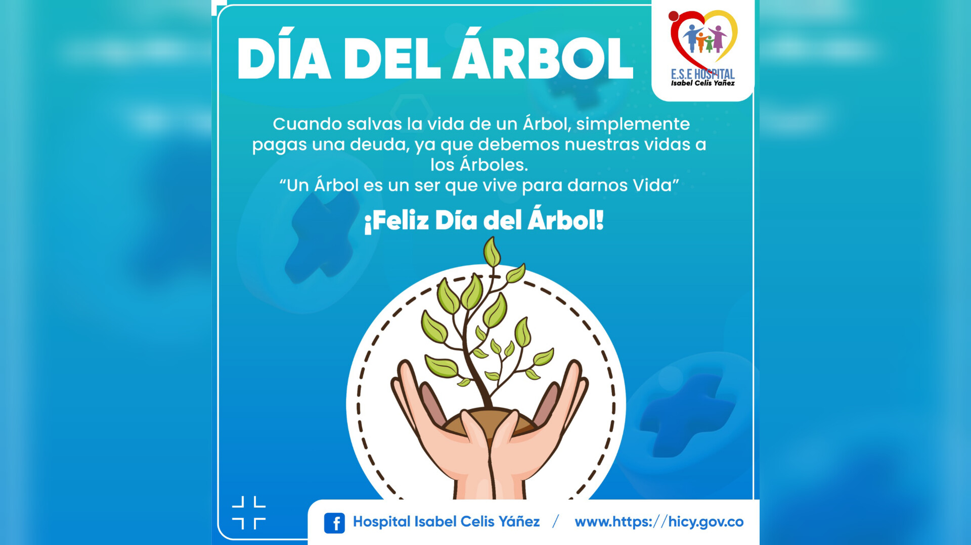 DÍA DEL ÁRBOL - PORTADA