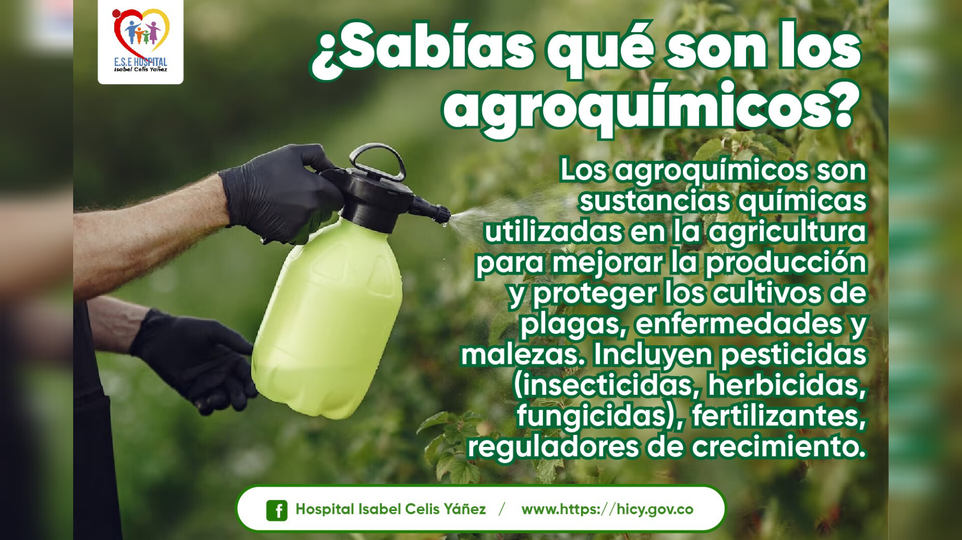 SABÍAS QUÉ SON LOS AGROQUÍMICOS - PORTADA