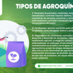 TIPOS DE AGROQUÍMICOS - PORTADA