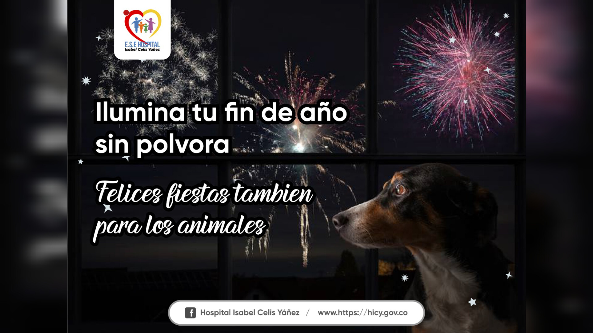 ILUMINA TU FIN DE AÑO SIN PÓLVORA - PORTADA