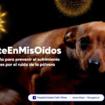 PONTE EN MIS OÍDOS - PORTADA
